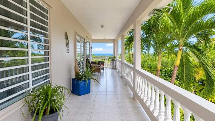 Covered veranda — palms and ocean