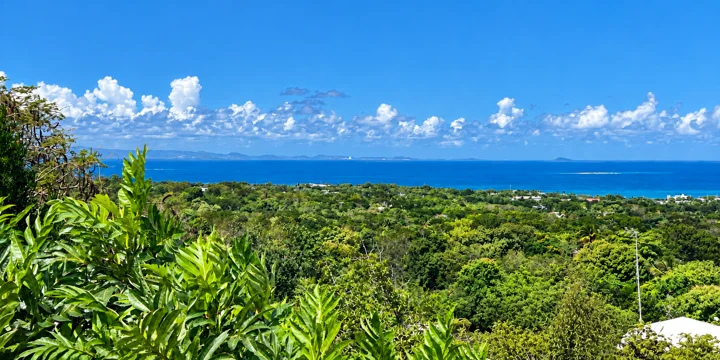 Ocean panorama